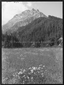 Motiv bei Scuol