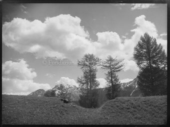 Engadin, Wiese und Bergkette