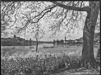 Stein am Rhein vom Kloster St. Otmar aus fotografiert
