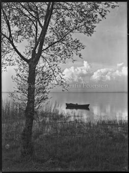 Boot auf dem See, Baum im Vordergrund