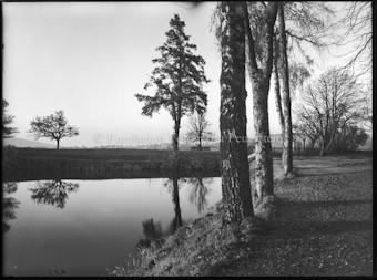 Weiher mit Baumbestand