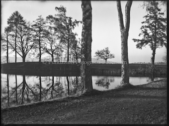 Weiher mit Baumbestand