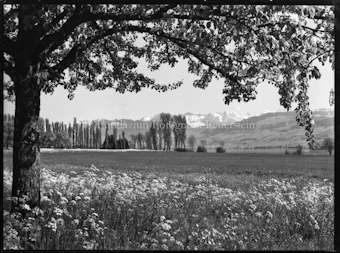 Landschaft mit Bergpanorama