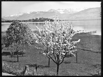 Seelandschaft mit Rapperswil