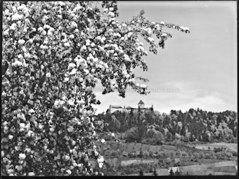 Landschaft mit Schloss