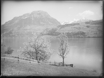 Seelandschaft mit Berg