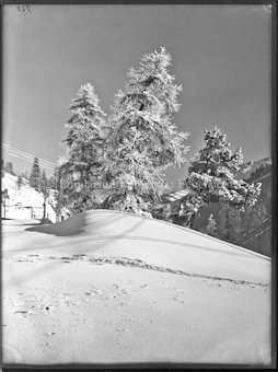 Wintermotiv St. Moritz