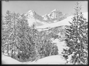 Wintermotiv Blick von der Meierei auf Julier und Albana