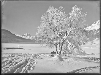 Wintermotiv mit Piz Margna