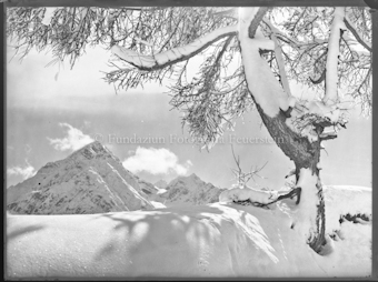 Winterstudie im Unterengadin mit Pisoc