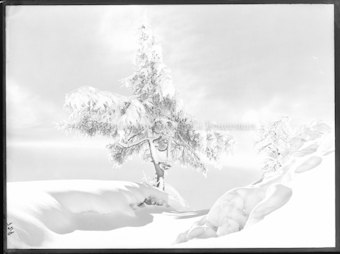 Winterstudie in Scuol
