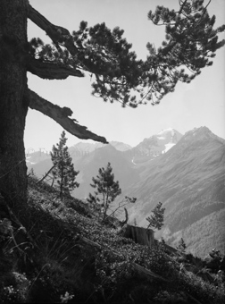Piz Quartervals von Munt Baselgia
