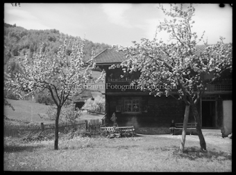 Frühlingsmotiv aus Prättigau, Wagen Mitte Bild