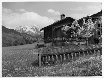 Frühlingsmotiv aus Scuol, Blütenmotiv aus dem Prättigau, Zaun rechts