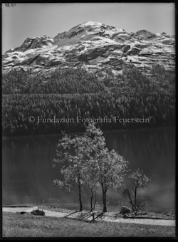 St. Moritzersee Herbst