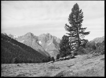 Piz Pisoc von Plazer aus Nationalpark