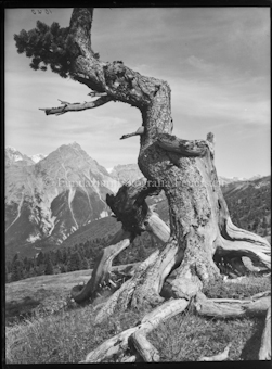 Val Mingèr mit Piz Madlein