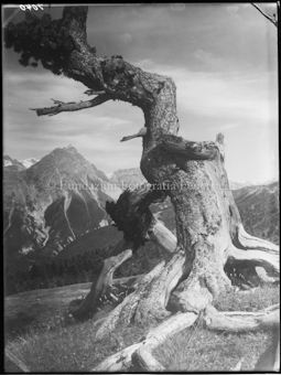 Val Mingèr mit Piz Madulain