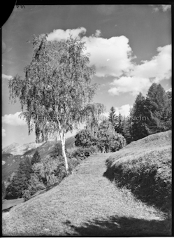 Herbststimmung hinter Schweizerhof