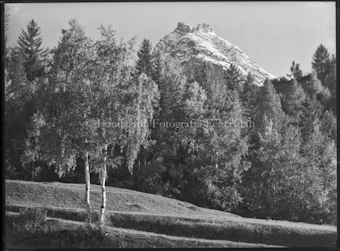 Piz Pisoc von Ftan aus, Herbststimmung hinter Schweizerhof