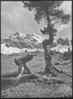 Piz Foraz von Val Mingèr aus