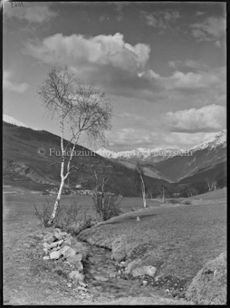Herbststudie auf dem Wege nach Tarasp