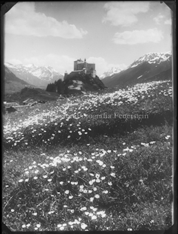 Schloss Tarasp mit Blumen