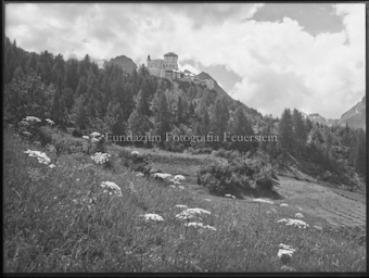 Schloss Tarasp von Flornis aus