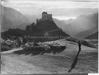 Schloss Tarasp mit Schafherde