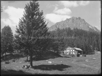 Zuort Hof mit Baum links