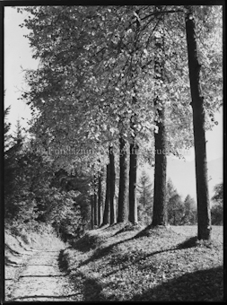 Sonnenberg (Luzern), Herbststimmung mit Luzern