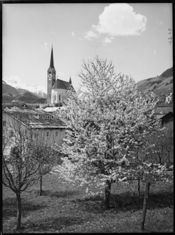 Kirche Scuol mit blühenden Bäumen