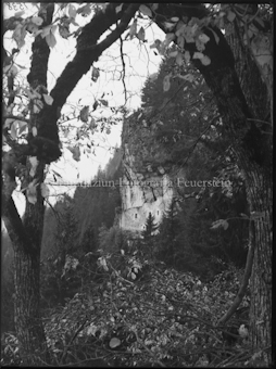 Schloss Kropfenstein zwischen Bäumen durch