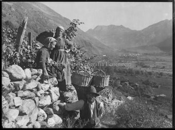 Winzergruppe mit Blick gegen Tirano