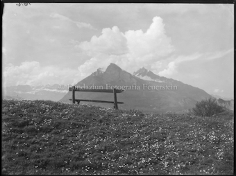 Ruheplätzchen bei Ragaz mit Gonzen