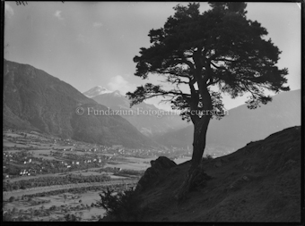 Chur von Haldenstein aus Baum rechts
