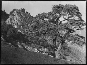 Ruine Lichtenstein bei Haldenstein