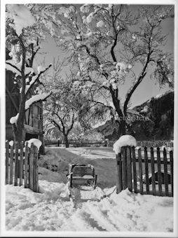 Winterstudie Suren Garten und Mistkarrette
