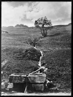 Motiv, Bank mit Brunnen und Baum