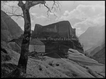 Mesocco, Ruine, gross, Gegenlicht mit Baum