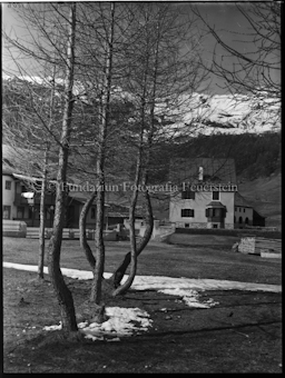 Haus Demarmels, Bos-cha