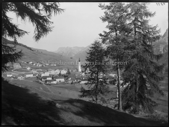 Ftan von Institut aus, mit Bäumen rechts