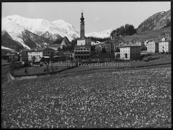 Ftan, Bellavista mit Krokuswiese