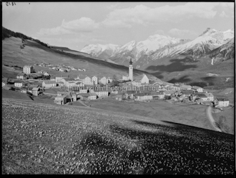 Ftan mit Krokuswiese