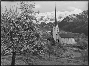 Kirche Seewis mit Blütenbaum links