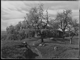 Waltensburg Frühling alte Häuser