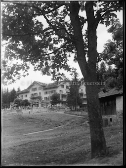 Churwalden Hotel Krone mit Baum