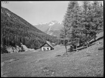 Varusch Parkhütte mit Reiter