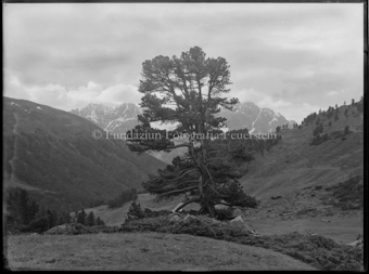 Nationalpark Abendstimmung im Plazer