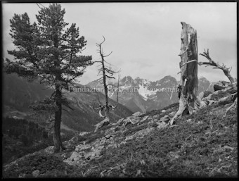 Nationalpark, Motiv aus Cruschetta